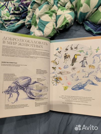 Книга Искусство рисования диких животных. Тим Понд