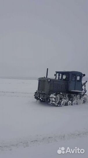 Трактор ХТЗ Т-74, 1981