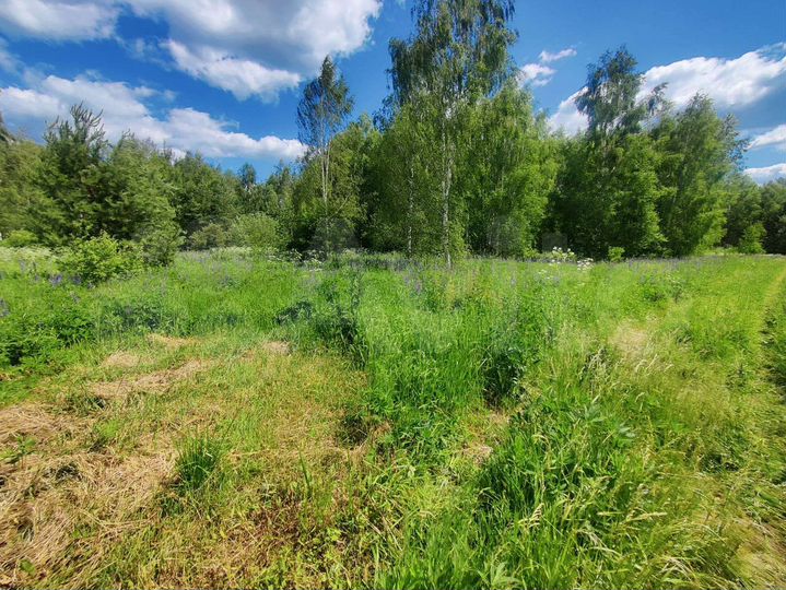 Участок 10 сот. (СНТ, ДНП)