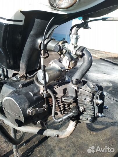 Продам альфу