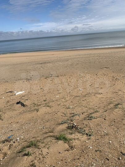 Участок 4,8 сот. (ИЖС)