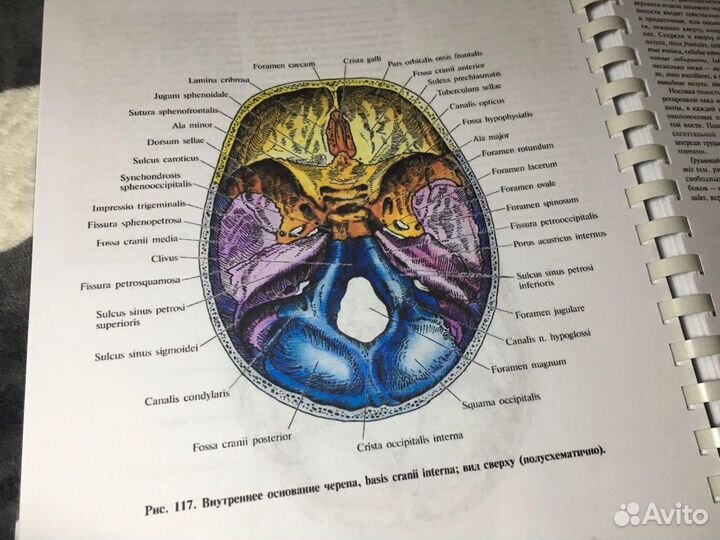 Атлас Синельникова по анатомии, 2009