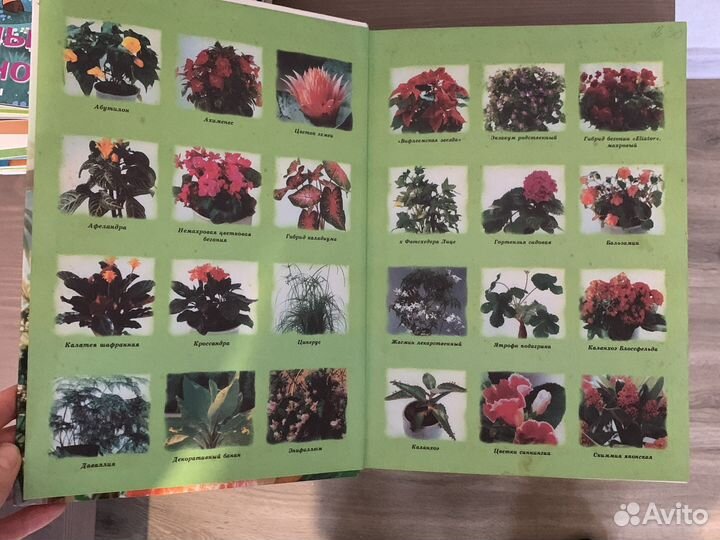 Книга по растениям