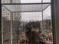Балкончик для кошки, решетка антикот