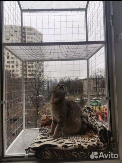 Балкончик для кошки, решетка антикот