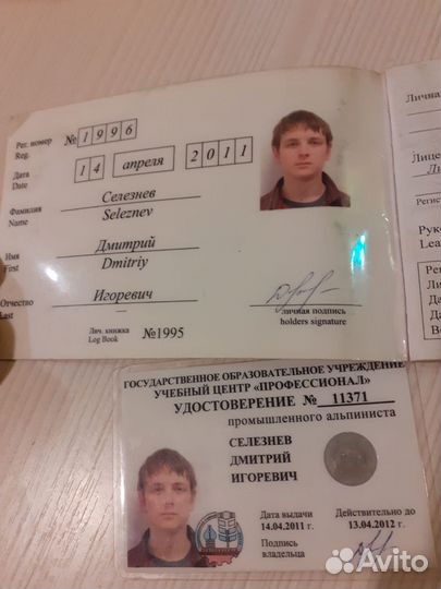 Спил деревьев