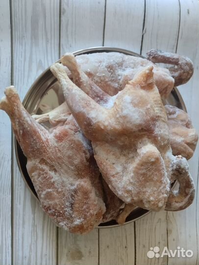 Куры домашние