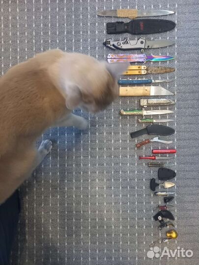 Нож коллекционный