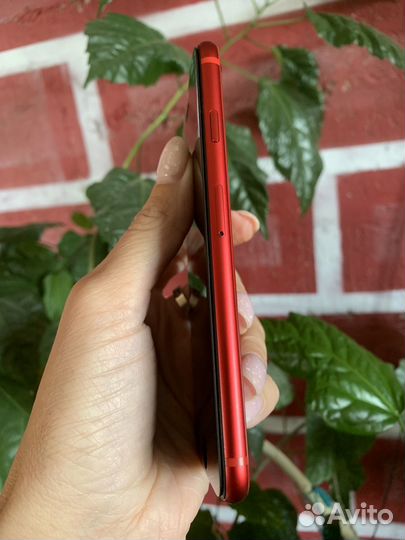 iPhone 8, 256 ГБ