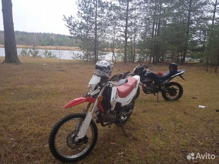Ирбис TTR250R