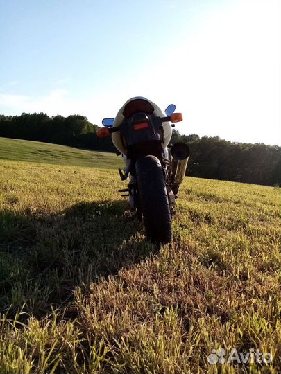 Suzuki sv400s