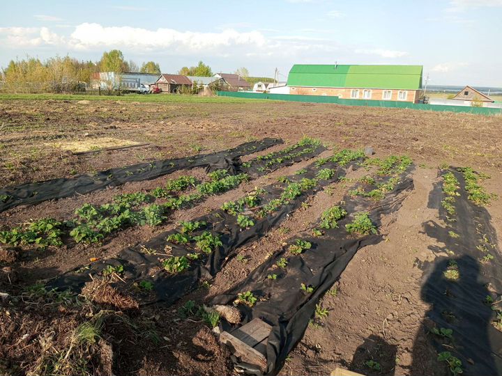 Участок 10 сот. (ИЖС)