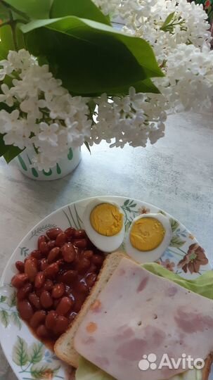 Приглашаю на программу похудения