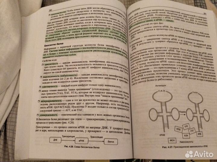 Егэ по биологии Соловков