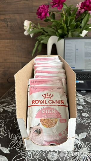 Мягкий корм для котят Royal Canin kitten
