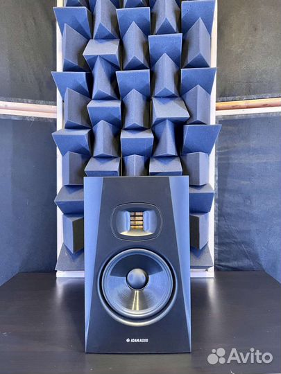 Новые Adam Audio T7V в наличии
