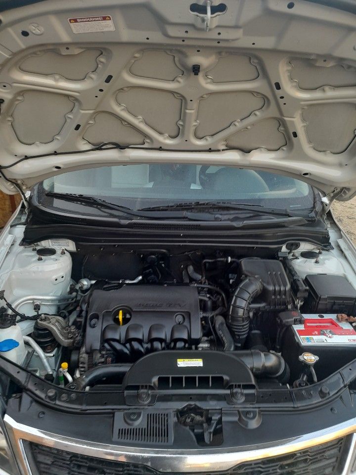 Kia Ceed: фото владельца