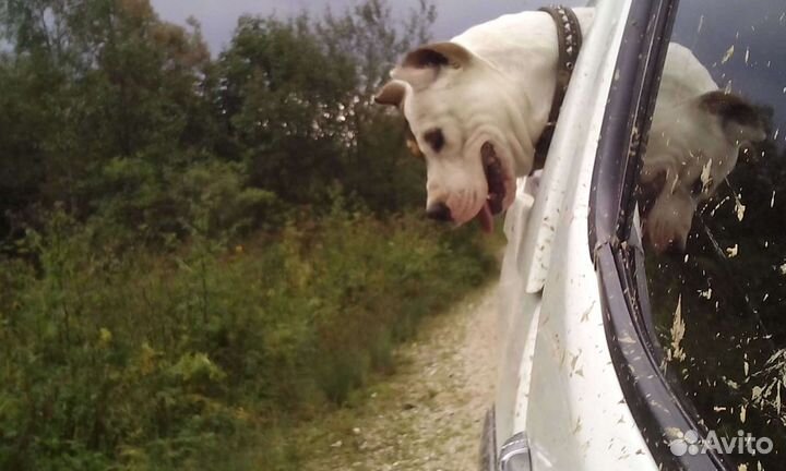 Кабель для вязки