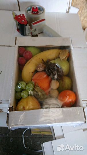 Соевые ростки очищенные Овощи, фрукты, зелень