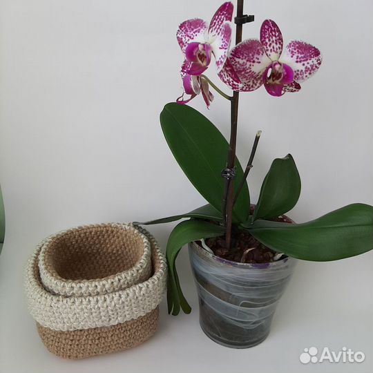 Набор корзин из джута (3 штуки)