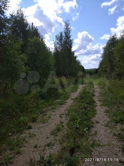 Участок 6,3 сот. (СНТ, ДНП)