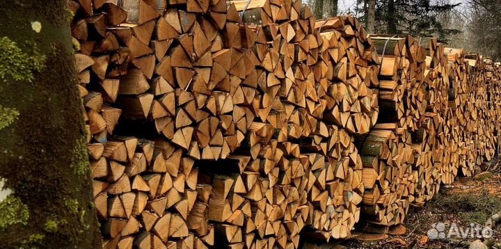 Дрова для бани