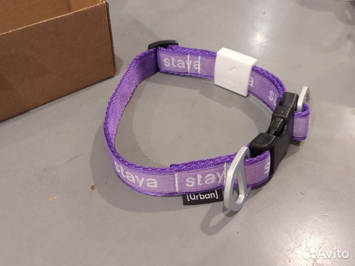 Ошейник staya m
