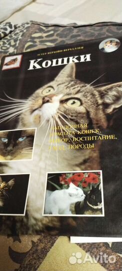Книга про кошек