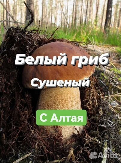 Белый гриб сушеный, молотый, мёд, кедровые орехи