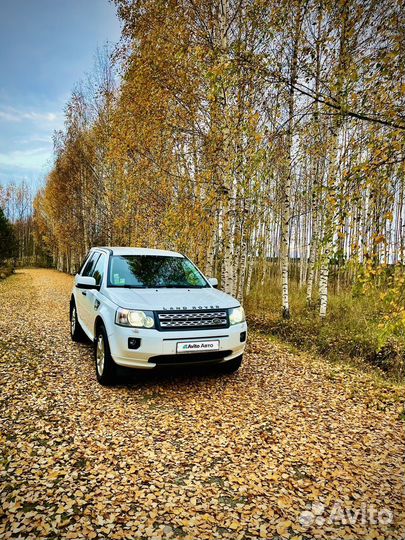 Land Rover Freelander 2.2 AT, 2011, 119 000 км