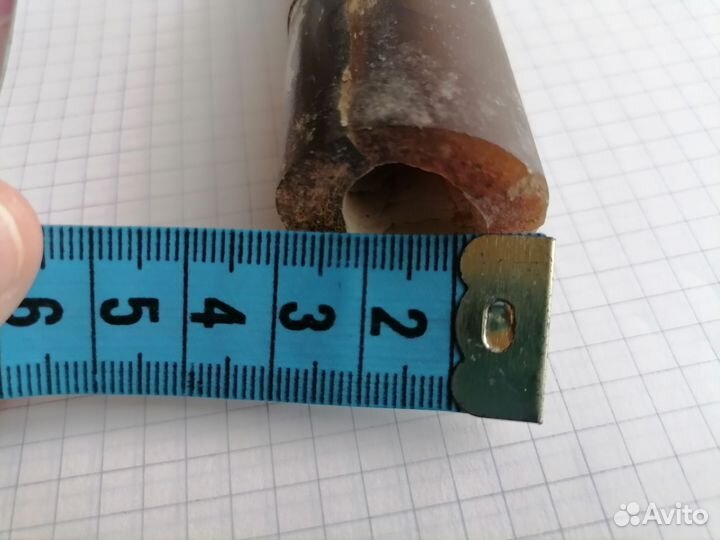 Белемнит большой, Чёртов палец