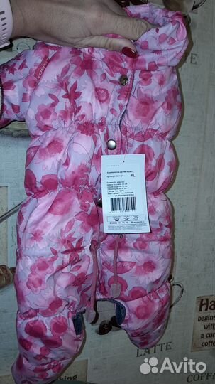 Зима, осень и флис на собачку (3 шт)