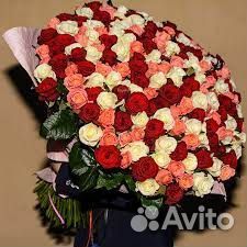 51 роза 101 роза 465 35 31 21 Букет Доставка