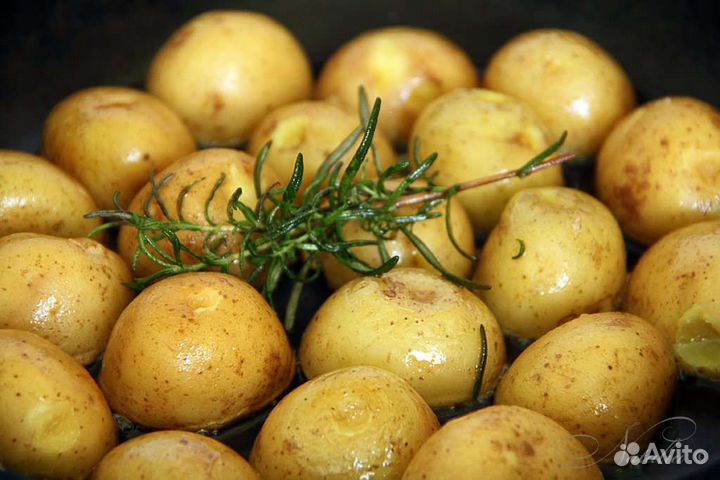 Продаю молодой картофель