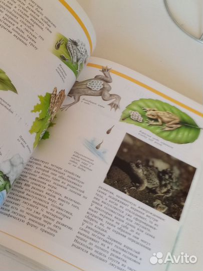 Книга секреты животного мира