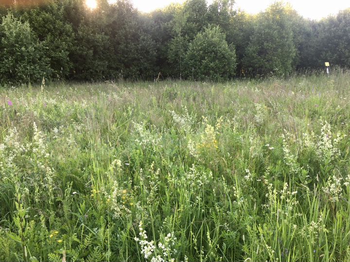 Участок 20 сот. (ИЖС)