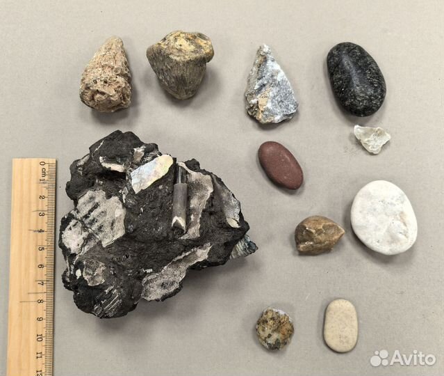 Окаменелости и различные камни