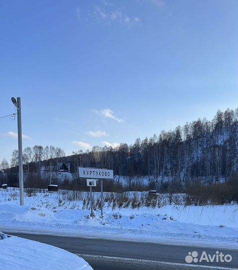 Найден пес