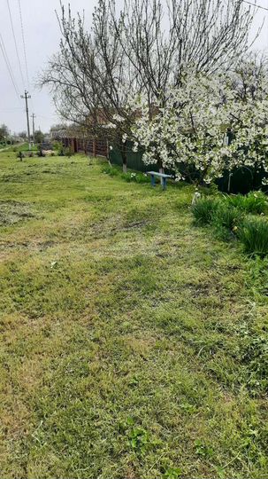 Дом 29,6 м² на участке 16 сот.