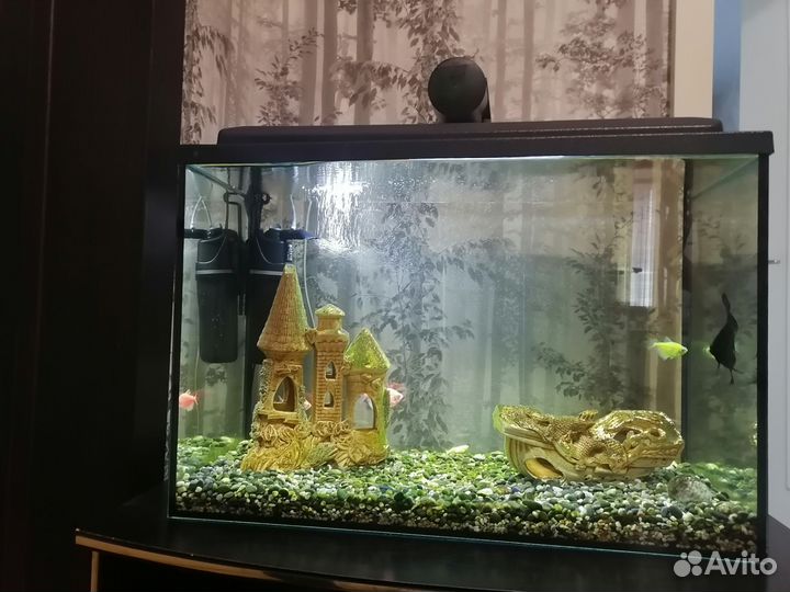 Аквариум