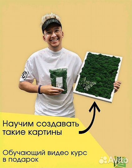 Стабилизированный мох ягель живой