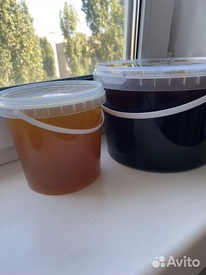 Мед урожай 2023.Гречка,цветок