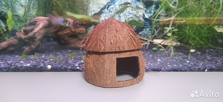 Декорация из кокоса 