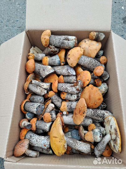 Грибы замороженые