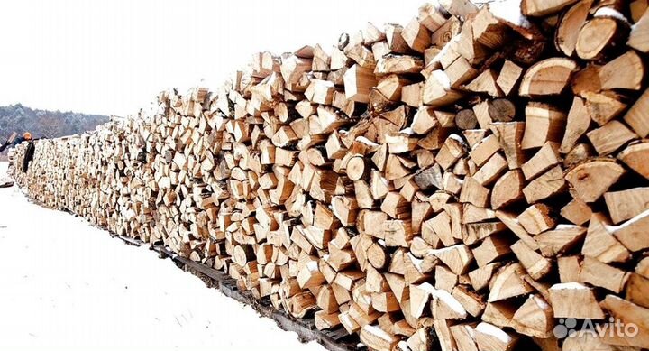 Осиновые дрова