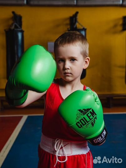 Боксерские перчатки golem