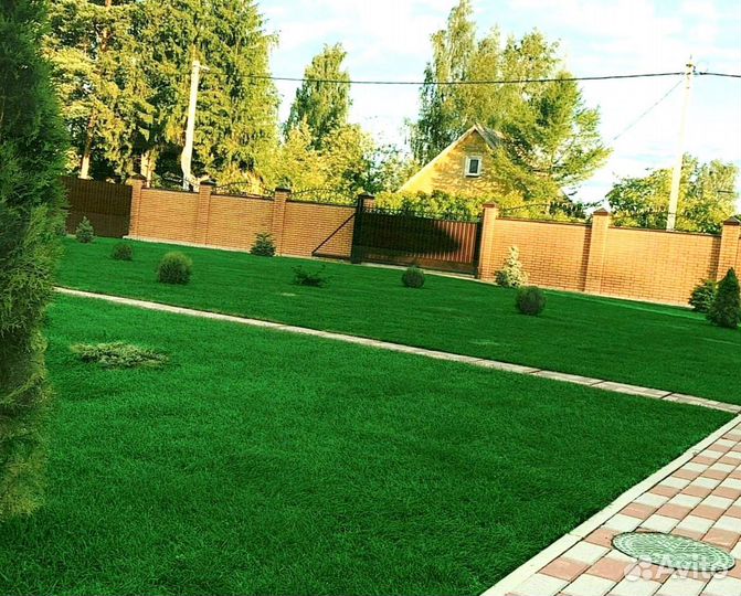 Рулонный газон