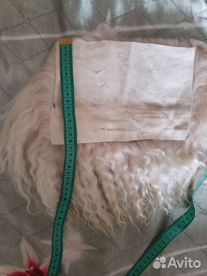 Куклы Блайз новые