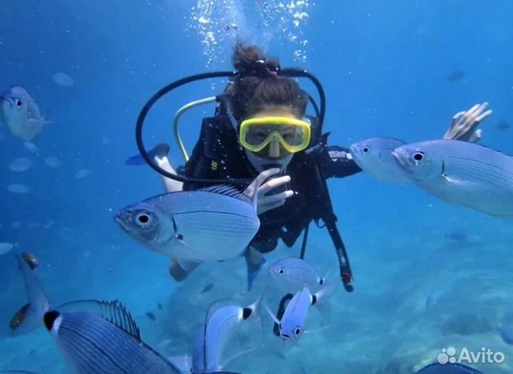 Турпоездка в Аланию от. 5*на 7 нч. все включено