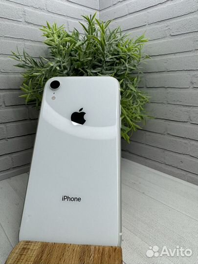 iPhone Xr, 64 ГБ